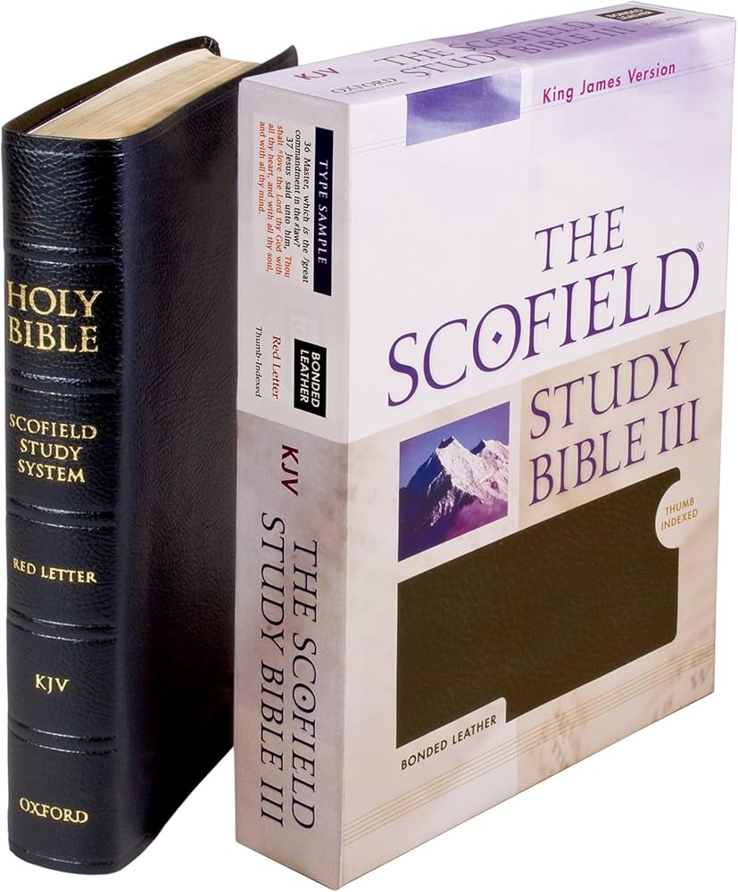 Bible Commentaries and Study Bibles Collection: Over 12 volumes and 12,000 pages of biblical insight in PDF